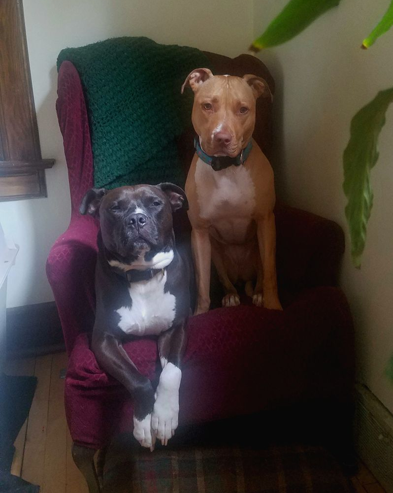 18518162_10100484283025513_3790758042586732567_o